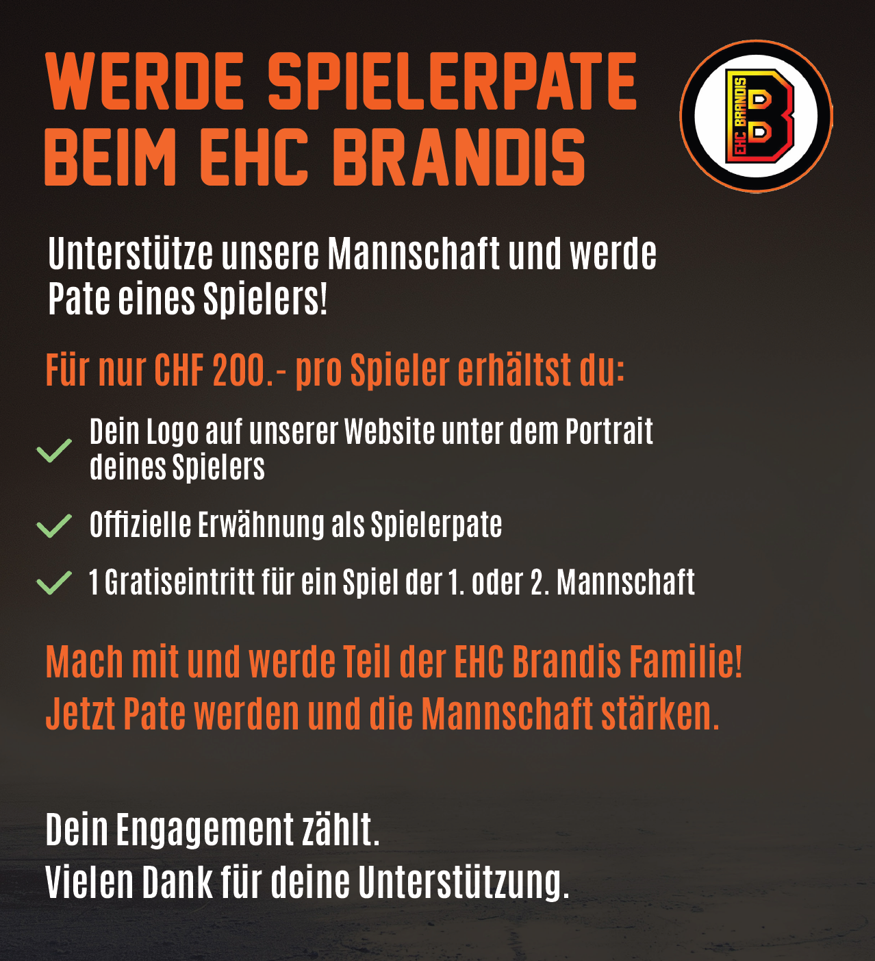Flyer zur Spielerpatenschaft des EHC Brandis